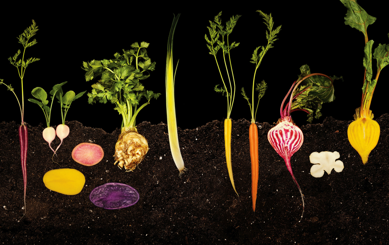 Illustration for article titled Cool pictures of food cut in half while it is cooking